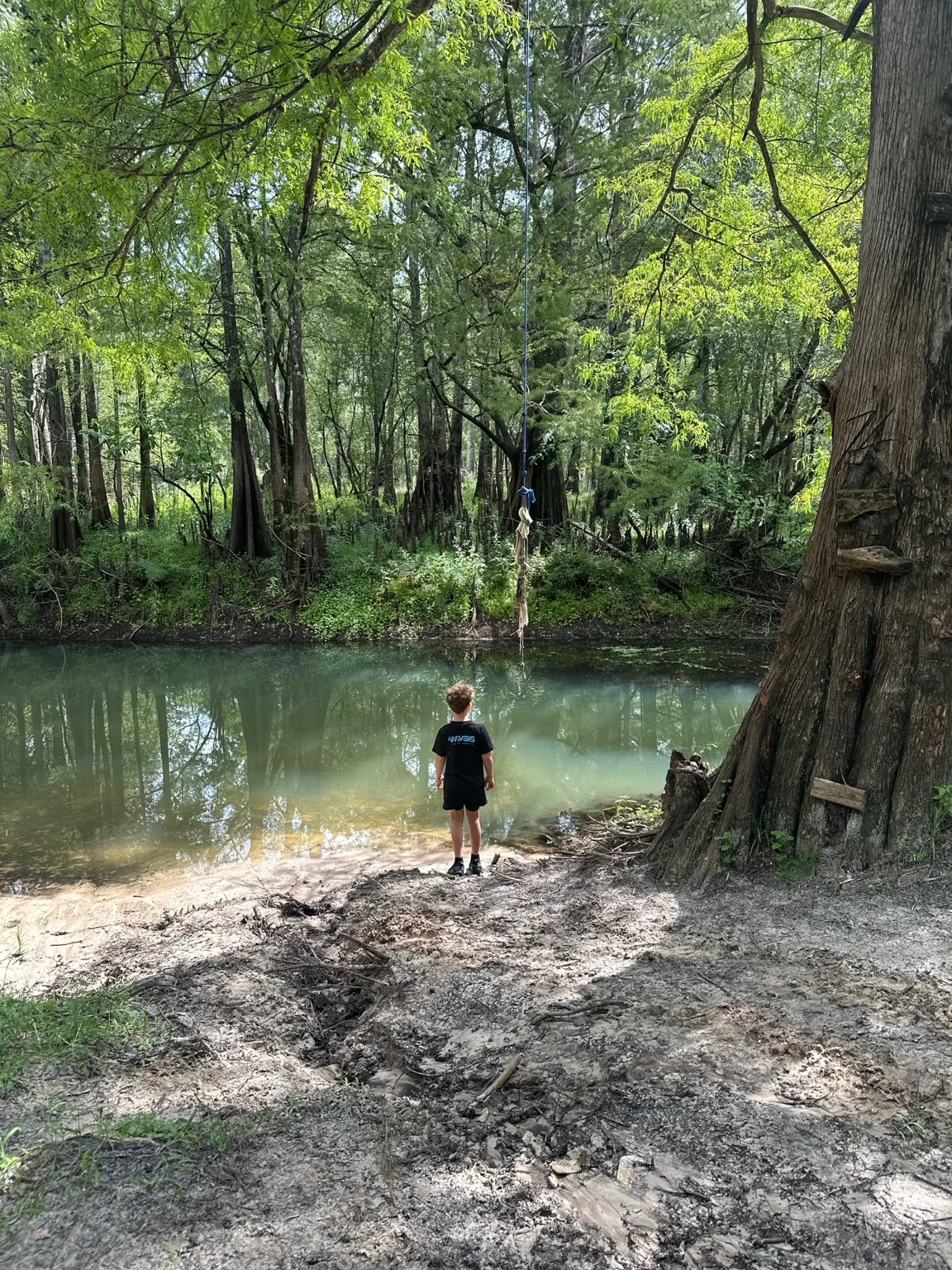 Boy seen from behind at the edge of a wooded river
