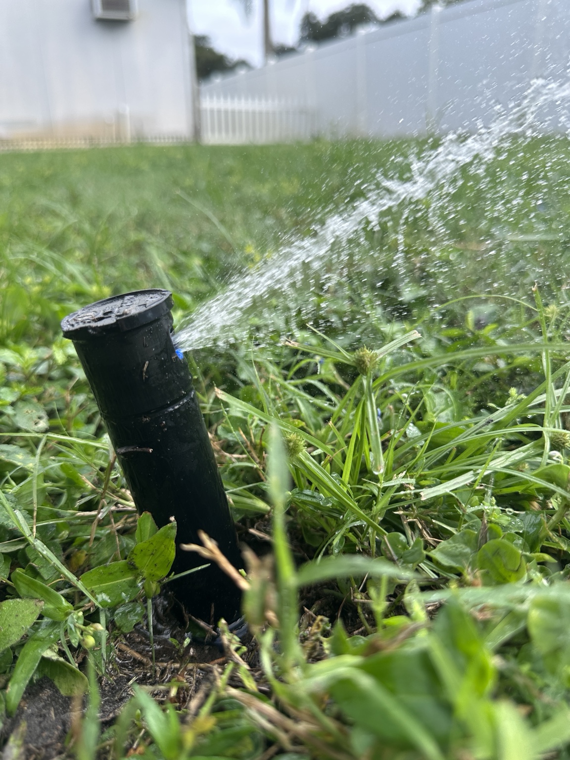 The Irrigation Well