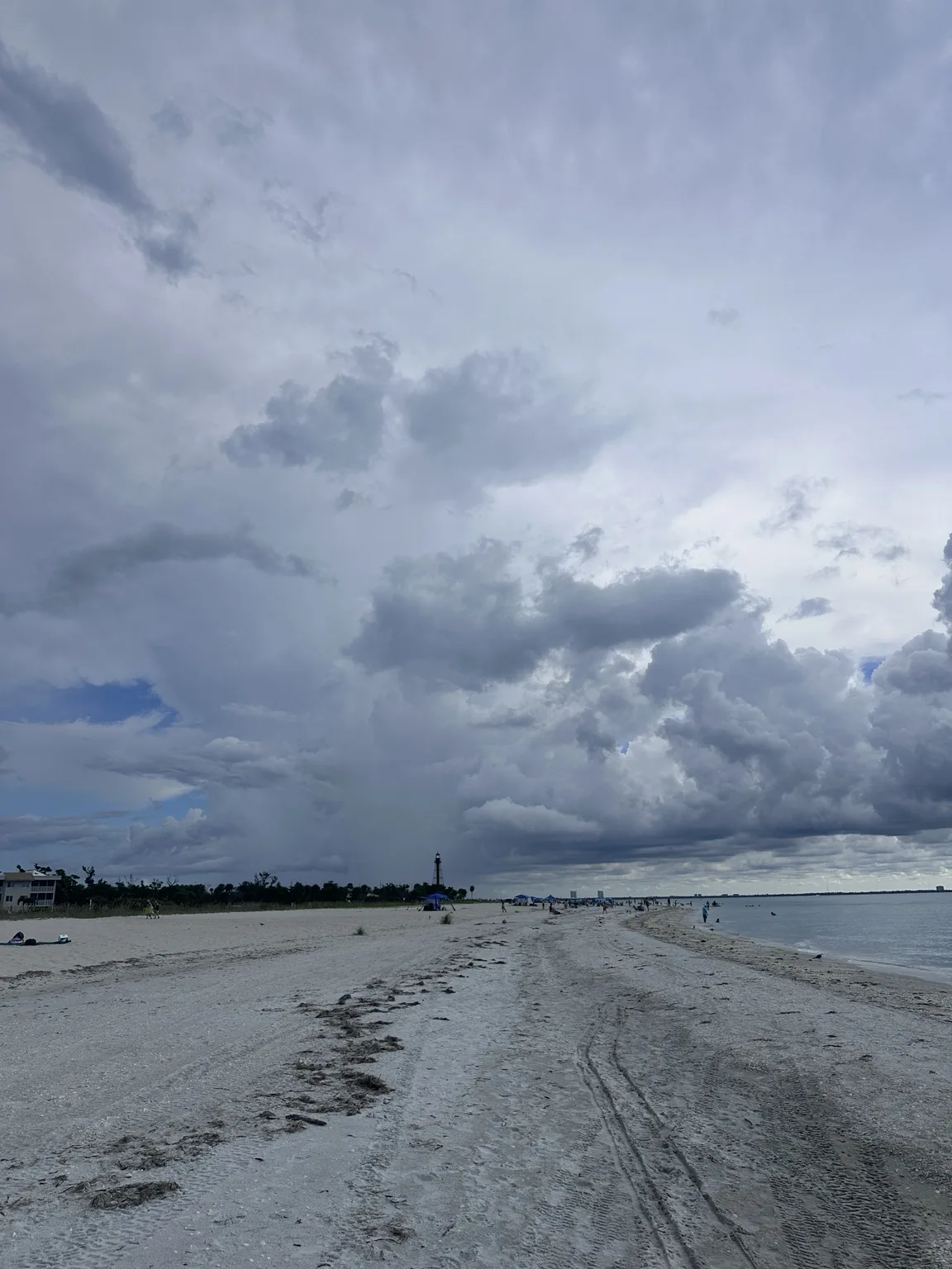 Discovering Sanibel