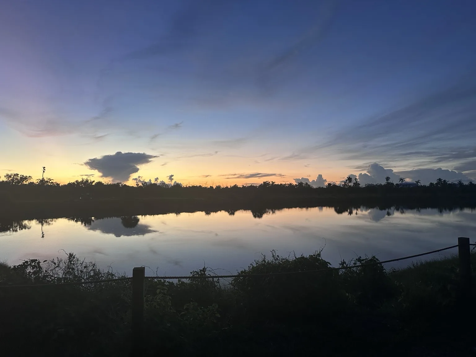 Discovering Mindfulness